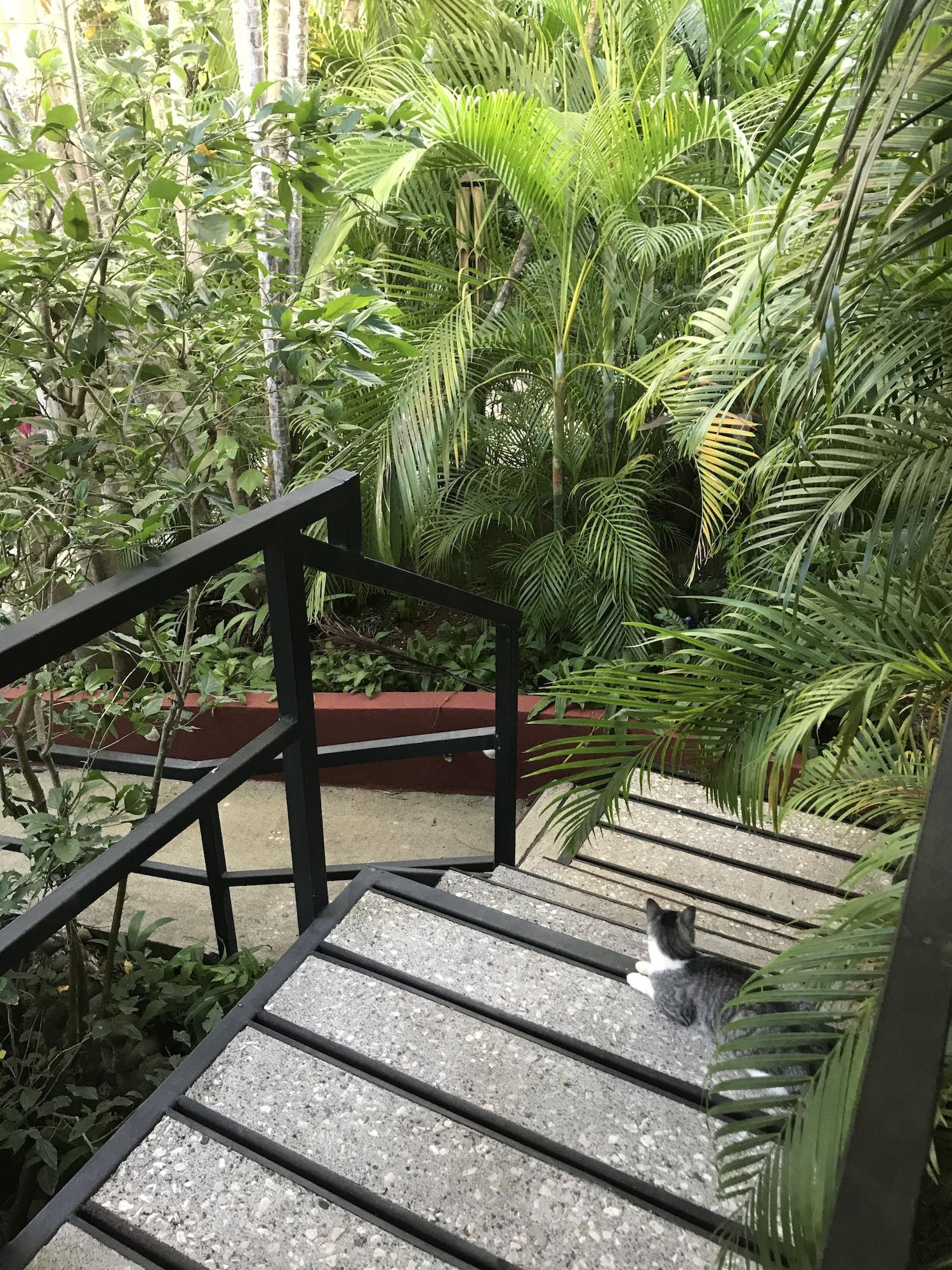 Tamarindo Village Hotel מראה חיצוני תמונה