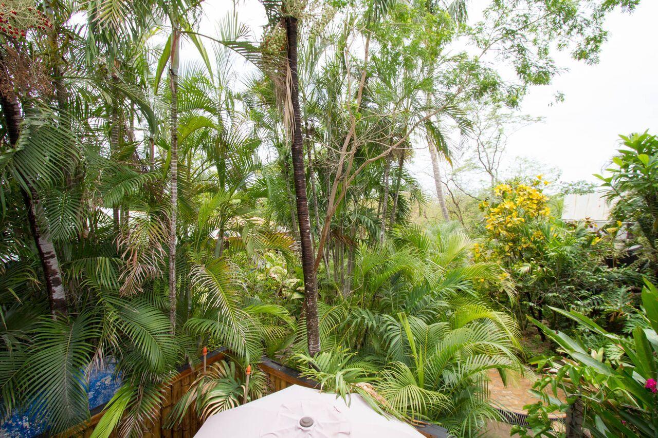 Tamarindo Village Hotel מראה חיצוני תמונה