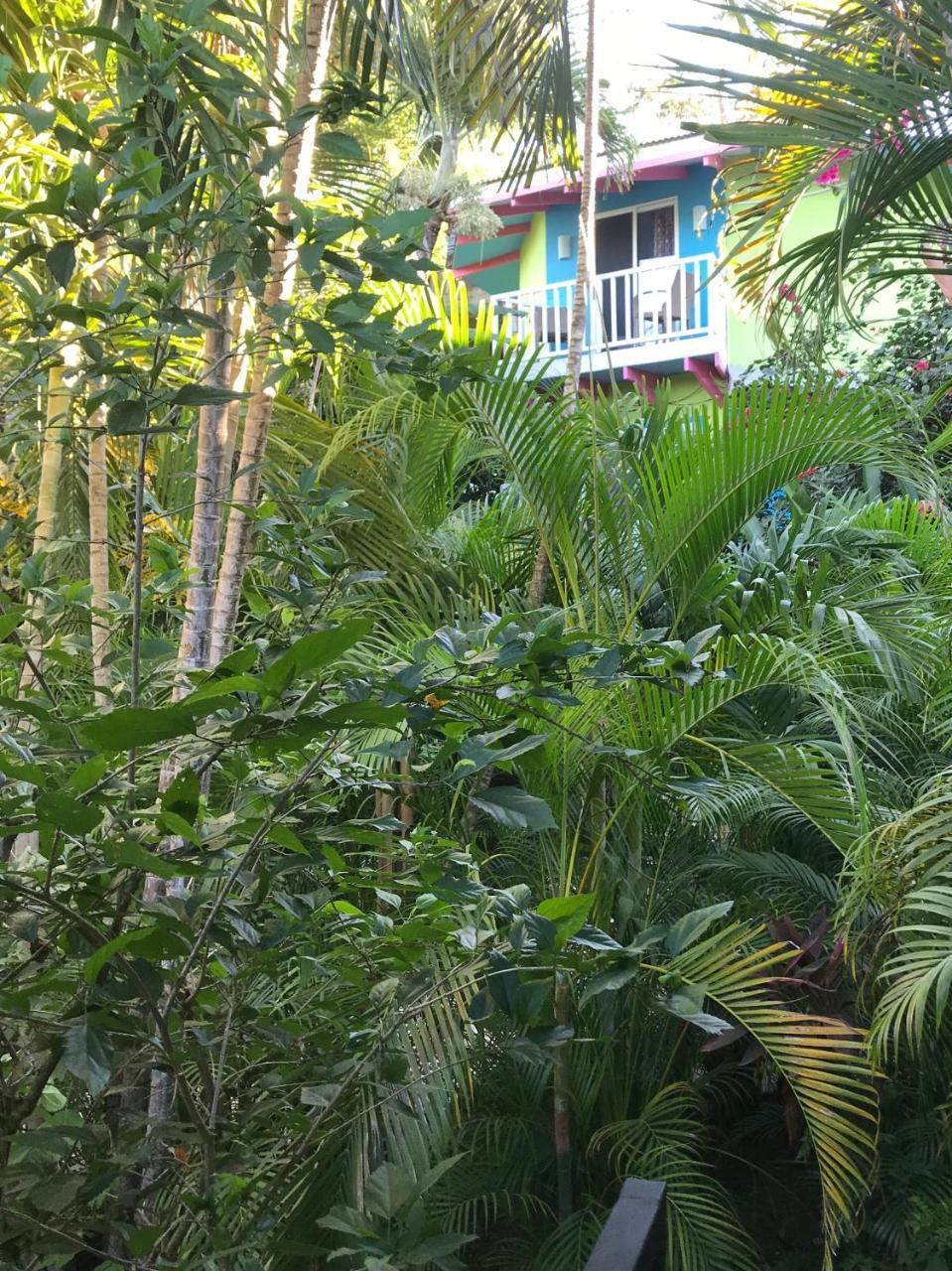 Tamarindo Village Hotel מראה חיצוני תמונה