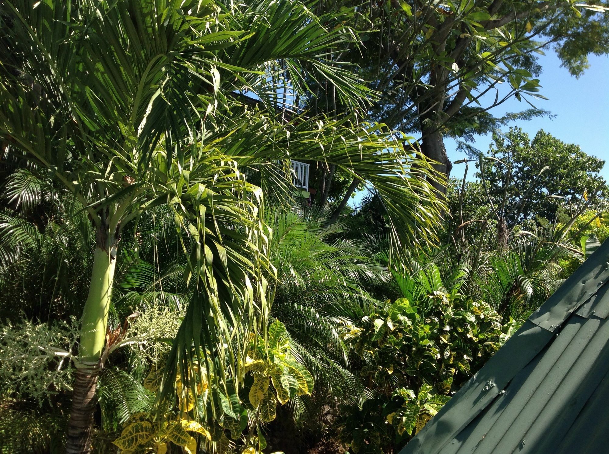 Tamarindo Village Hotel מראה חיצוני תמונה